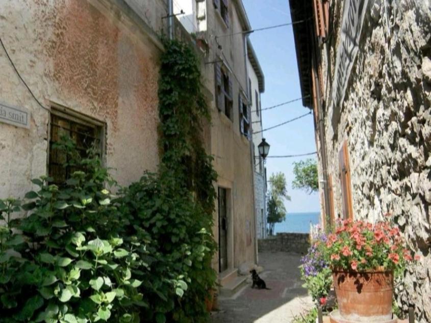 Apartment Martin - 10 Mt To The Beach 罗维尼 外观 照片
